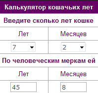 Сколько лет калькулятор